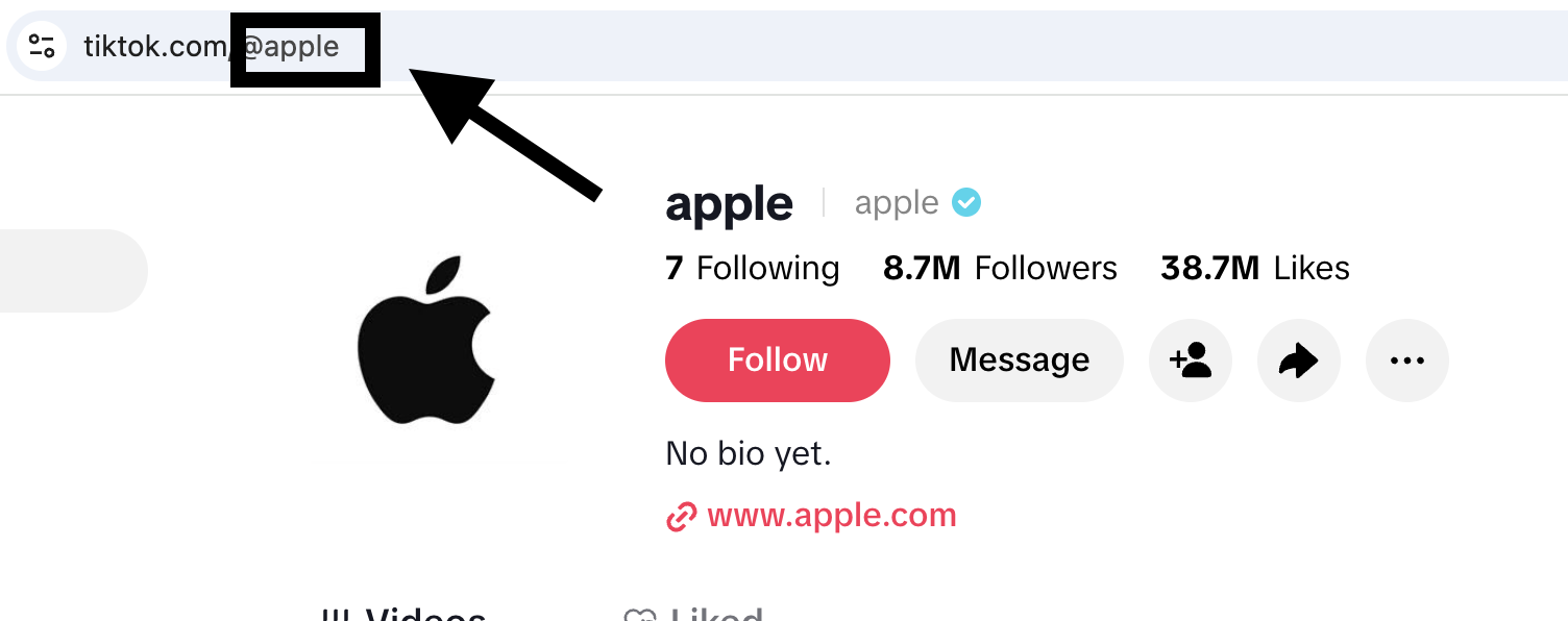 Example of how to use the TikTok account username