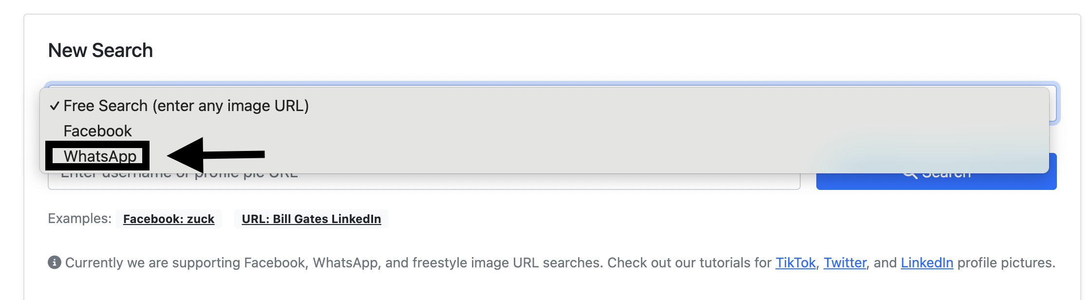 Example of how to use our tool with the phone number